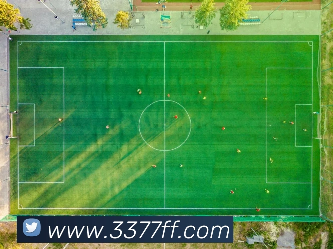 3377APP 封面图